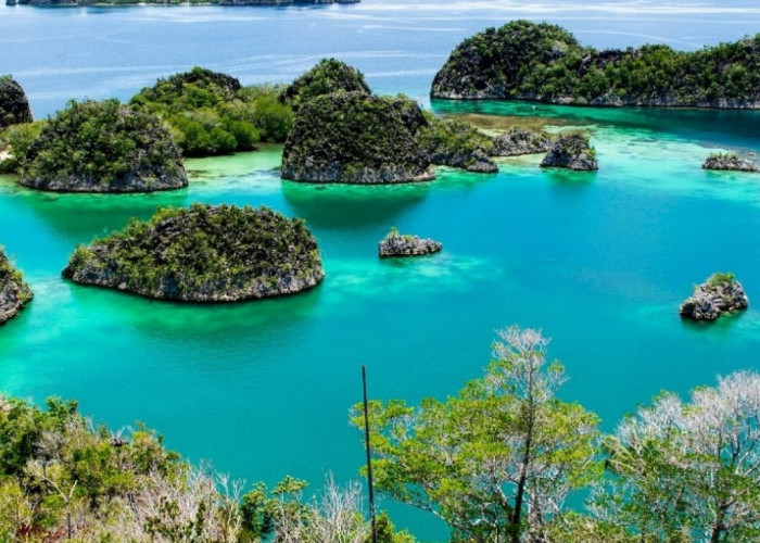 Buruan Cek! Potensi Wisata Sumatera Selatan ke Kancah Internasional: Apakah Siap Saingi Bali dan Jogja?