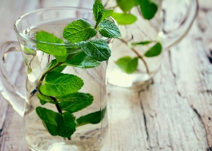 7 Rebusan Penangkal Insomnia: Dari Daun Mint hingga Akar Valerian, Solusi Alami Tidur Nyenyak