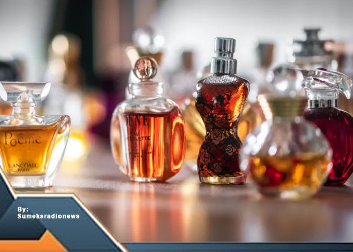 Mengintip Rahasia Kesuksesan di Balik Aroma: Memahami Pasar dan Tren Parfum Internasional