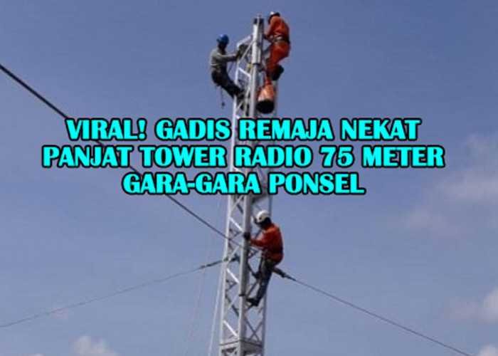 Viral! Gadis Remaja NeKat Panjat Tower Radio 75 Meter Gara-Gara Ponsel, Evakuasi Berlangsung Dramatis