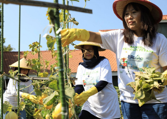 Berdayakan Perempuan, BRI Raih Penghargaan Indonesia Women's Empowerment Principles Awards 2024