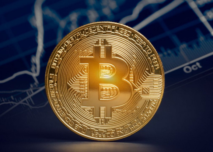 Bitcoin dalam Momen Tegang!  Potensi Melambung dengan Dukungan Institusional