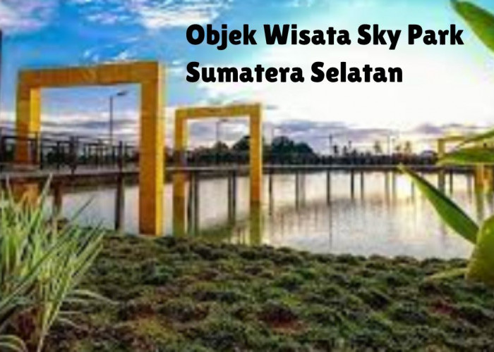 Sekayu Keren! Teriak Pengunjung Asal Linggau di Objek Wisata Sky Park Sumatera Selatan, Mengapa? Ini Katanya!