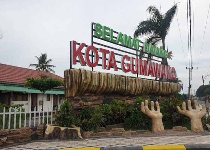 Mengenal Istilah BK di Kota Belitang Ogan Komering Ulu timur, Dikenal Kaya akan Pertaniannya!