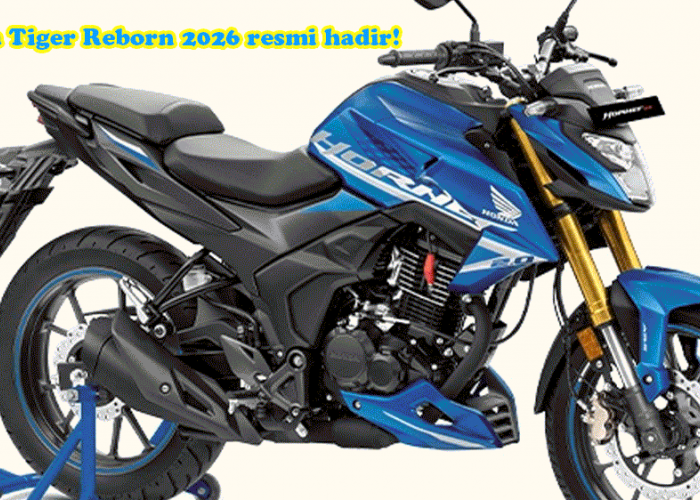 Honda Tiger Reborn 2026: Bukan Sekadar Nostalgia, Ini Jawara Baru Lintas Provinsi Palembang!