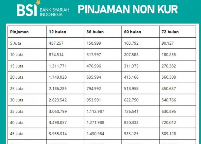 Simulasi Angsuran dan Syarat Pinjaman Non KUR BSI Plafon Rp50 Juta Tahun 2025