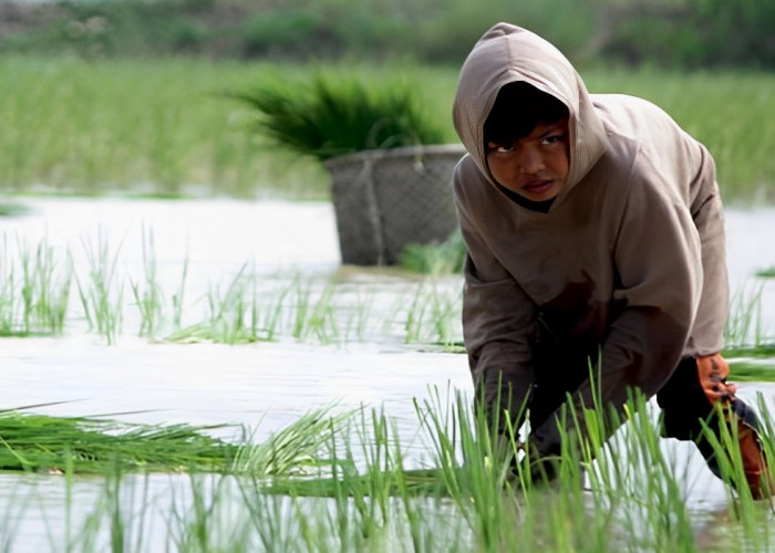 HUT Pertanian 2023: Harapan Pj Bupati Banyuasin untuk Petani, Aksi Cepat Kadis Pertanian Melawan Inflasi