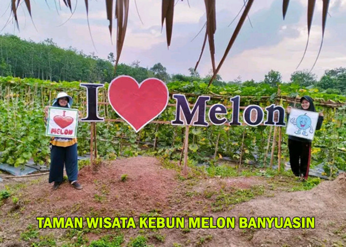 Magisnya Taman Wisata Kebun Melon di Pangkalan Balai! Program Edukasi yang Menginspirasi Menyertai