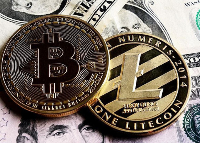 Dari Bitcoin ke XRP dan Litecoin! Memahami Pergeseran Minat Investor Kripto
