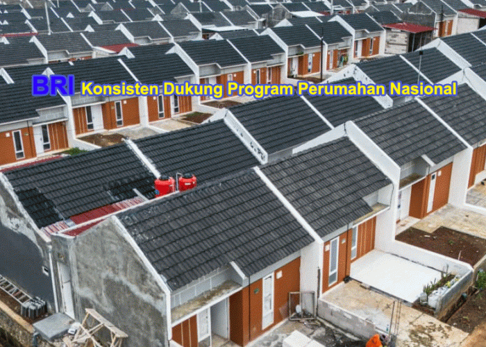 BRI Tancap Gas! KPR Subsidi Tembus Rp16,79 Triliun, Ribuan Warga MBR Kini Punya Rumah