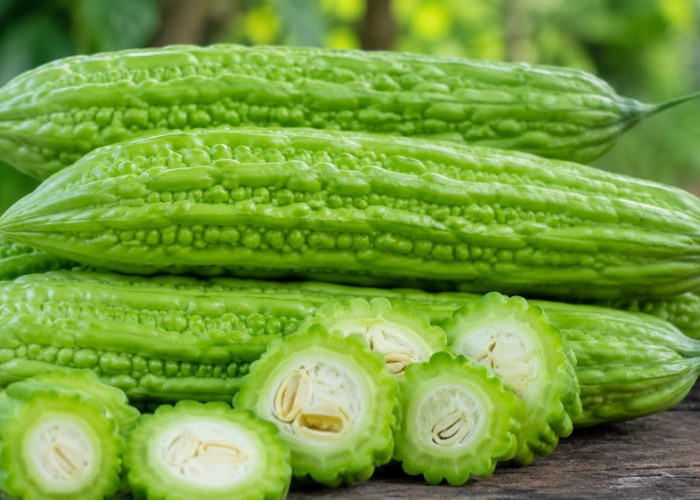Walaupun Pahit, Pare Ternyata Punya Manfaat Besar untuk Kesehatan Tubuh
