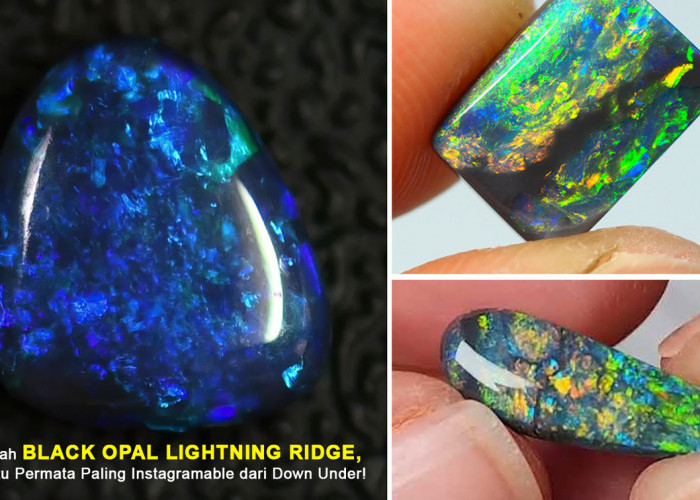 Ngupas Kecantikan Ajaib: Kisah Black Opal Lightning Ridge, Batu Permata Paling Instagramable dari Down Under!