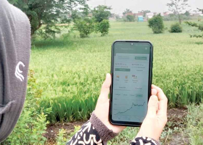 Deposito Bank Digital: Aman, Tapi Tetap Ada Risiko yang Harus Dipahami