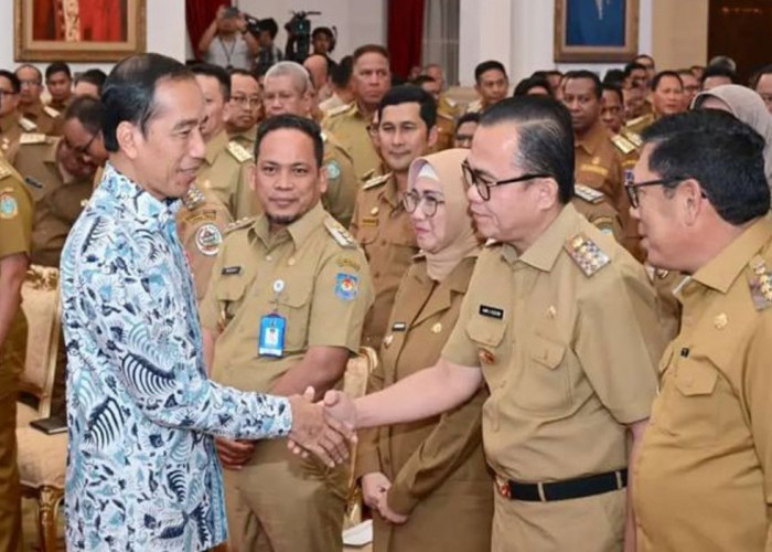 PJ Bupati Banyuasin Temui Presiden Jokowi, Dalam Pembahasan Ini!