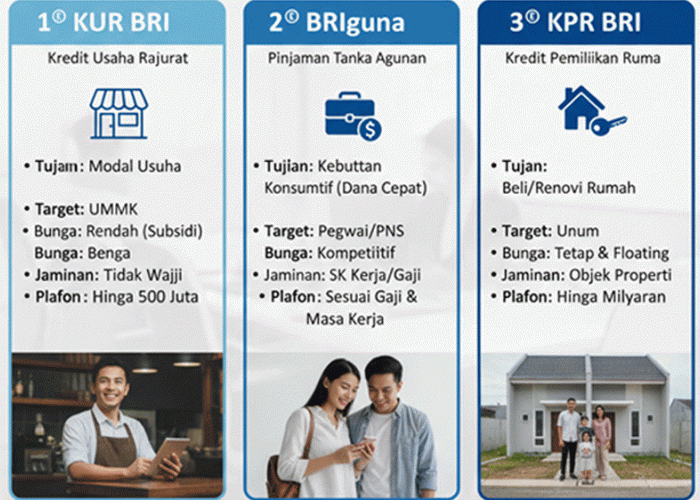Perbandingan KUR vs BRIguna vs KPR BRI, Tabel Lengkap & Mana Paling Untung?