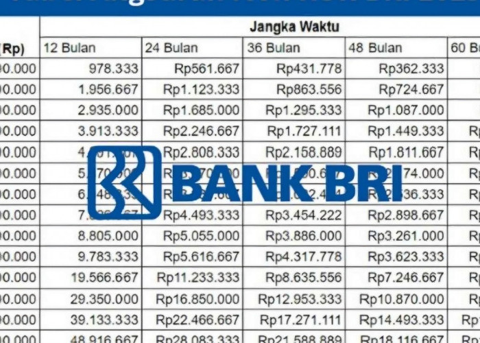 Pinjaman BRI Tanpa Agunan Dibuka Desember 2025 Bagi PNS dan PPPK: Non KUR, Cek Plafon dan Suku Bunganya