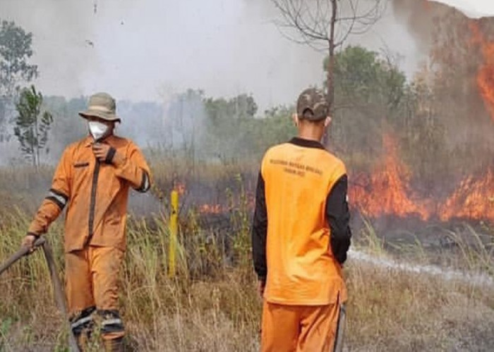 Luas Kebakaran Hutan dan Lahan di Sumsel Meningkat Drastis 32.496 Hektar Terbakar
