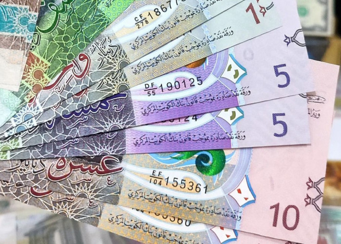 Investasi Mata Uang 2026: Mencari Perlindungan Nilai di Tengah Rupiah yang Tertekan