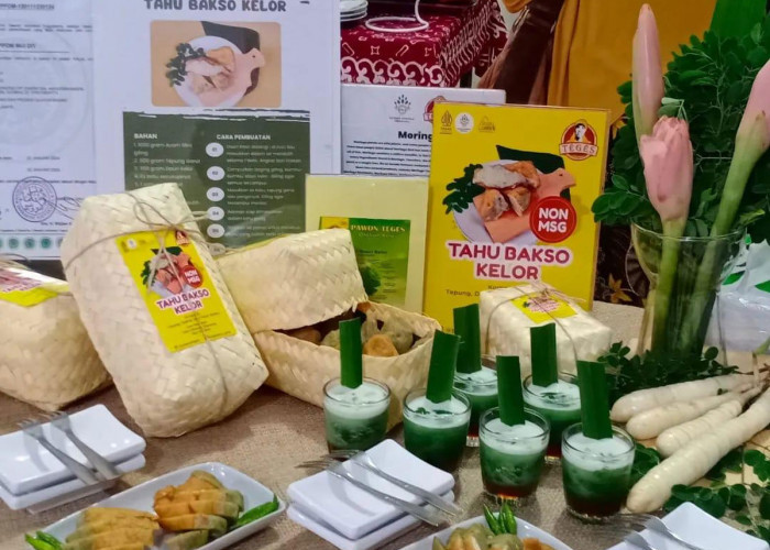 Dari Dapur Rumah ke Pasar Nasional, Siti Fatimah Buktikan Kelor Bisa Jadi Ladang Emas Berkat KUR BRI