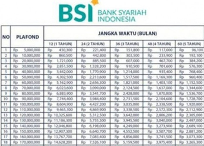 Simulasi Pinjaman BSI Rp 50 Juta: KUR Mikro dan Mitraguna untuk Pegawai
