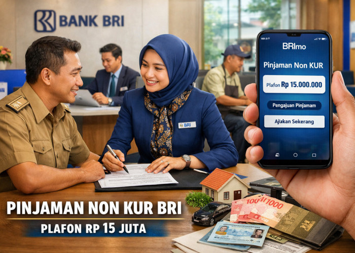 Pinjaman Non KUR BRI Rp15 Juta, Opsi Kredit Fleksibel di Luar Skema Subsidi