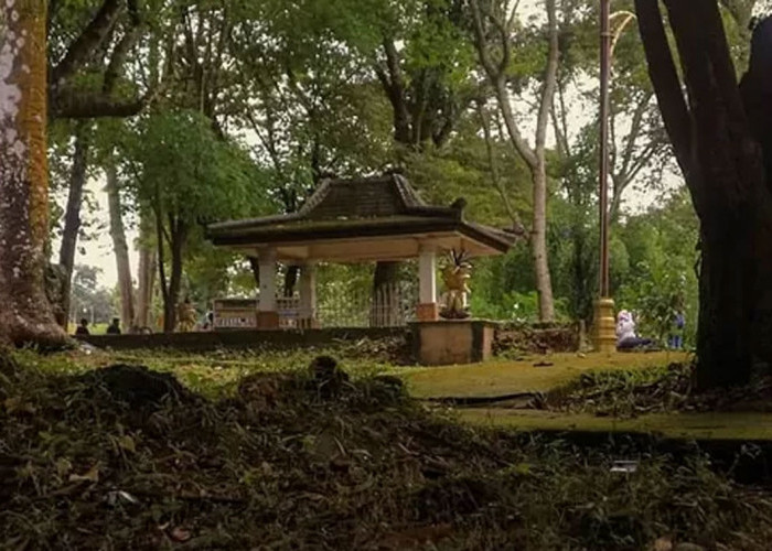 Bukit Siguntang: Sejarah dan Misteri di Palembang yang Tak Lekang oleh Waktu