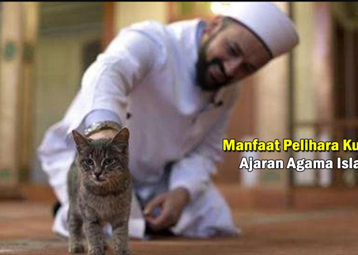 Subhanallah Berkah! 6 Manfaat Memelihara Hewan Kucing dalam Ajaran Islam, Ternyata ini !