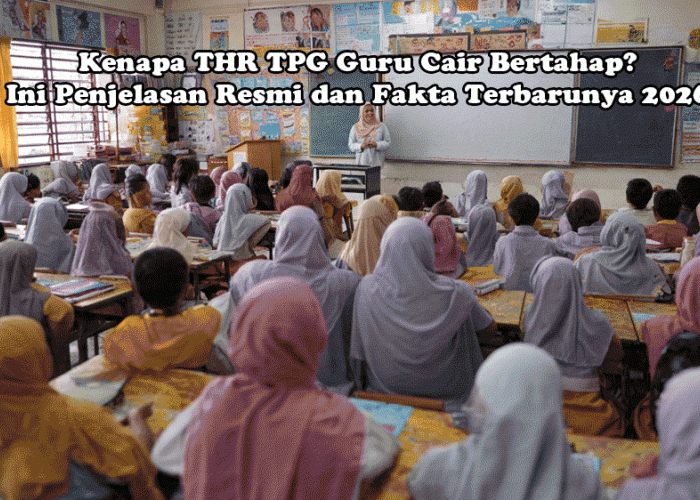 Kenapa THR TPG Guru Cair Bertahap? Ini Penjelasan Resmi dan Fakta Terbarunya 2026