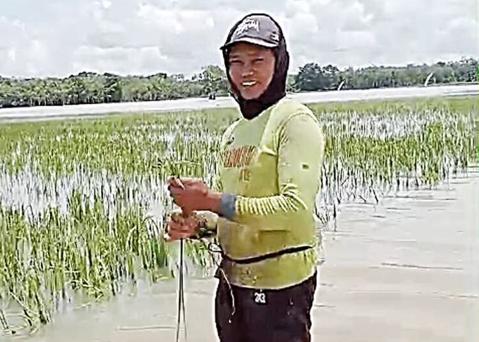 Ratusan Hektar Sawah Terendam! Petani Lempuing OKI di Ambang Kehancuran?