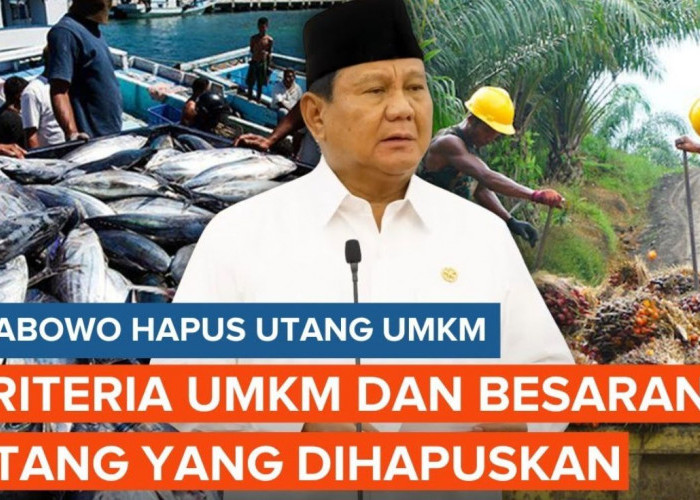 Woww! Inilah Alasan Penghapusan Utang 67.000 UMKM Justru Menguntungkan Perbankan!