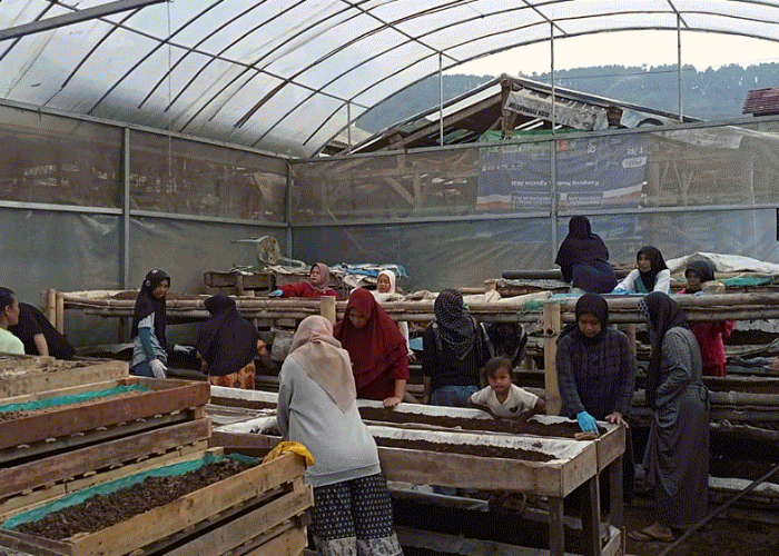 Dari Limbah Jadi Cuan: Nasabah PNM Mekaar Bandung Barat Sukses Kembangkan Usaha Kascing