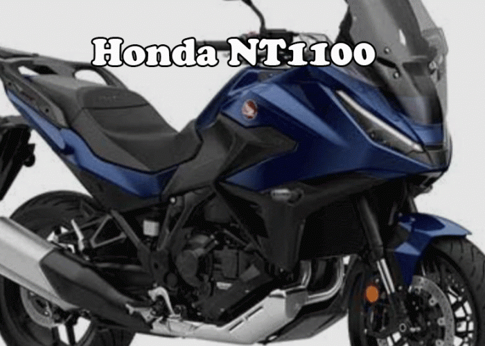 Sang Penjelajah Aspal Menyingkap Karisma Honda NT1100, Arsitek Kenyamanan dan Presisi Touring Tanpa Batas