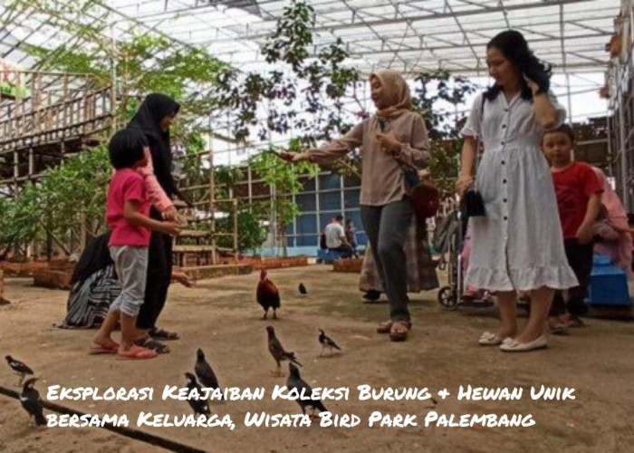 Eksplorasi Keajaiban Koleksi Burung & Hewan Unik bersama Keluarga, Wisata Bird Park Palembang, Ini Lokasinya!