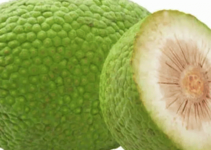 9 Manfaat Buah Sukun yang Mungkin Belum Kamu Ketahui, Tapi Wajib Coba untuk Hidup Sehat!