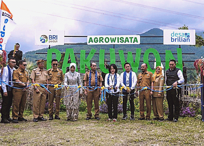 Desa Pajambon Melejit! Dari Jambu Merah hingga Agrowisata, Sukses Jadi Desa BRILiaN 2026