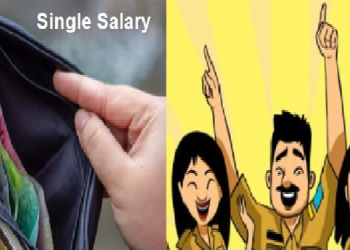 Wacana Single Salary 2026, Gaji ASN Bakal Naik?