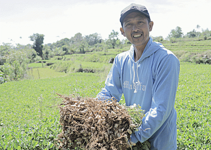 Desa Tompobulu Bersinar! Dari Saraba Daun Kelor hingga Wisata Pegunungan, Program BRI Bikin Ekonomi Desa Melon