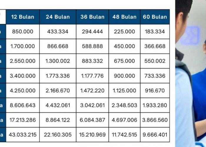 Pinjaman Non KUR Rp100 Juta untuk PPPK, Pilih BRI atau BNI? Ini Perbandingan Simulasi Cicilannya