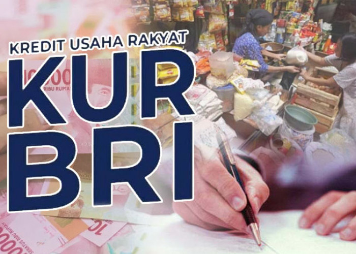 KUR BRI 2025: Pinjaman Hingga Rp50 Juta Tanpa Agunan, Bunga Tetap 6 Persen