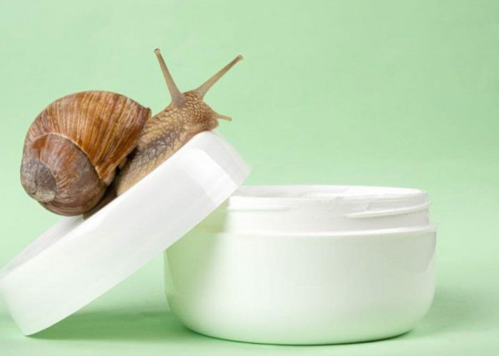 Rahasia Lendir Siput: Cegah Penuaan Dini dengan Snail Mucin yang Kaya Manfaat