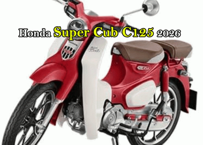 Honda Super Cub C125 2026: Motor Klasik Rasa Sultan, Irit BBM tapi Gengsi Maksimal!