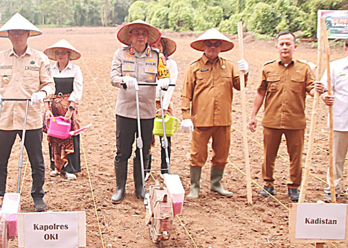 Pj Bupati dan Kapolres OKI Tanam Jagung Serentak, Dukung Ketahanan Pangan Nasional