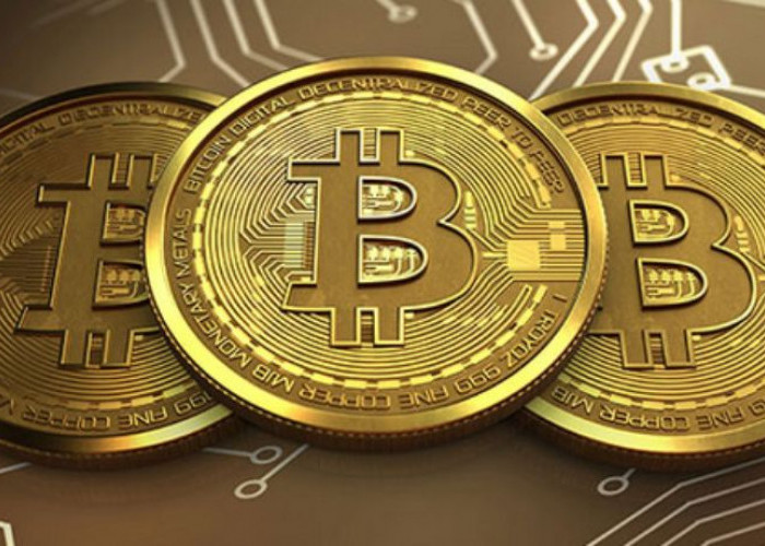 Ini Alasan Mengapa Holder Bitcoin dengan Dana Besar Diam-diam Akumulasi Aset Crypto!