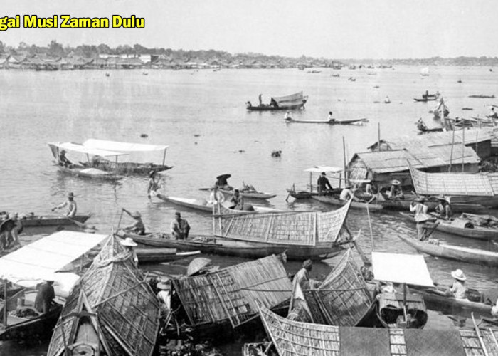Sejarah dan Asal Usul Nama Sungai Musi Palembang! Kisah Menarik di Zaman Kerajaan Sriwijaya, Begini Ceritanya!