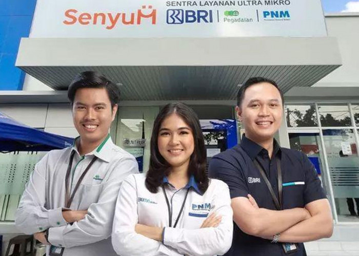 BRI Dorong Pemerataan Lewat Holding Ultra Mikro: 35,4 Juta Usaha Terbantu, Rp631 Triliun Tersalurkan