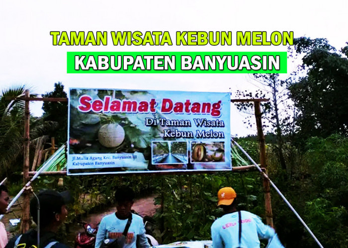 Dekat Taman Kota Pangkalan Balai! Taman Wisata Kebun Melon Jadi Incaran Wisatawan di Banyuasin, Lagi Rame Nih!