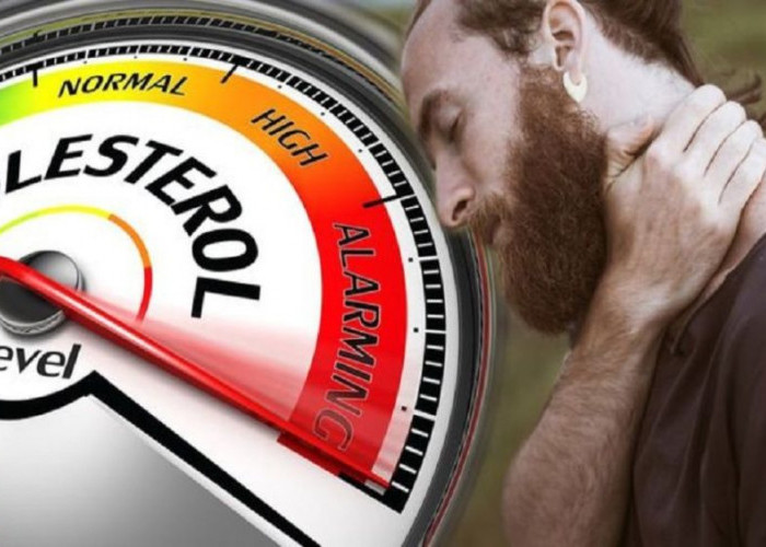 Kolesterol Tinggi: Penyebab, Risiko, dan Cara Menghindarinya - Fokus Pria, Cek Nomor 3!