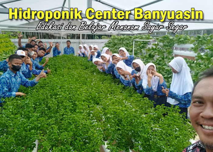 Hidroponik Center Banyuasin, Wisata Sekaligus Edukasi dan Belajar Menanam Sayur Segar, Wajib Kamu Coba Nih!