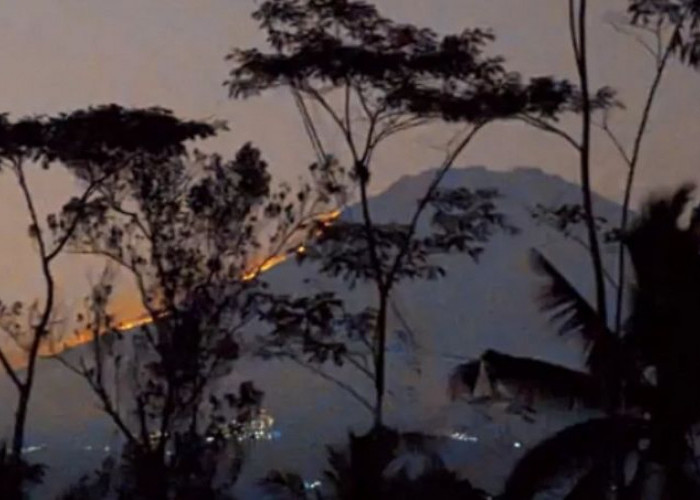 Breaking News: Kebakaran Menerjang Gunung Sumbing! Operasi Pemadam & Evakuasi Pendaki dalam Aksi Heroik