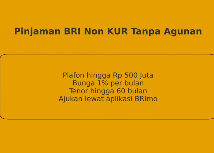 Tabel Cicilan Pinjaman BRI Non KUR yang Super Ringan Bikin Kaget, Update 30 Oktober 2025